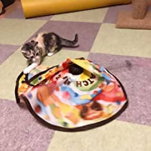 NECO ICHI “Catch Me If You Can” Toy for Cats – New Japanese Invention Featured on NHK TV!