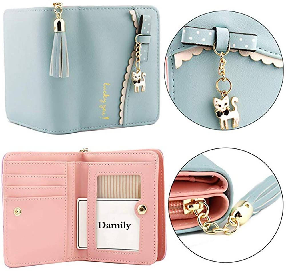 DAMILY Kawaii Pastel Blue & Pink Ladies' Mini Wallet – Allegro Japan