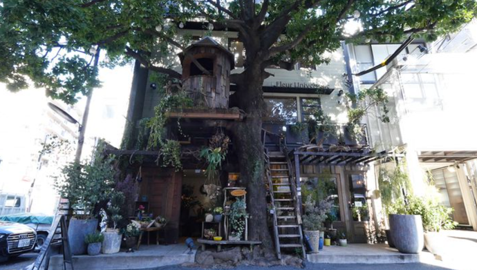 Top 10 places to visit in the Hiroo neighborhood of Tokyo