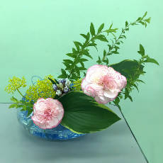 Nekko Net – Special Colorful Net to Make Flower Arrangement Easy – New Japanese Invention Featured on NHK TV!