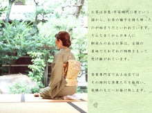 Load image into Gallery viewer, TAKAMURAEN Shizuoka Green Tea Matcha Powder 500g – 100g x 5 Bags – Shipped Directly from Japan