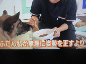 Meal Support Cushion for Older Dogs – Large – New Japanese Invention Featured on NHK TV!