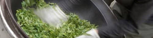 Miyazaki Sabo Organic JAS Certified Pesticide-Free Powdered Green Tea 70g – Shipped Directly from Japan