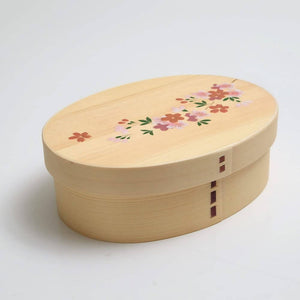 MIYOSHI Mage-Wappa Oval Cedar Bento Lunch Box – Lacquered Sakura Motif