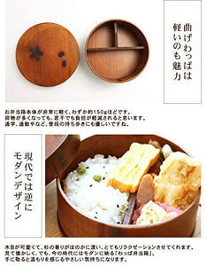 MIYOSHI Mage-Wappa Round Lacquered Cedar Wood Bento Lunch Box – Cherry Blossom Motif