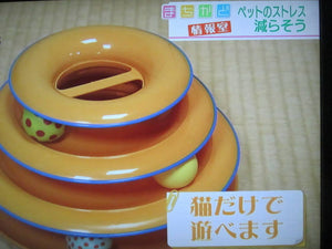 DUDWAY Cat Stress Relief Track Toy – New Japanese Invention Featured on NHK TV!