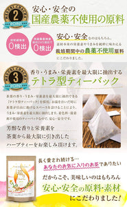MEGURI CHACHA Ginger Rooibos Chrysanthemum Blended Herbal Tea – 40 Packets – Caffeine Free – Best Seller in Japan