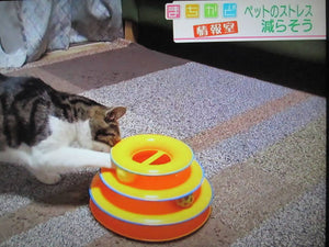 DUDWAY Cat Stress Relief Track Toy – New Japanese Invention Featured on NHK TV!