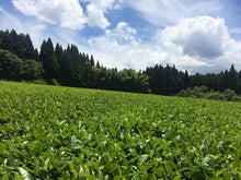 Load image into Gallery viewer, Hamasa Shoten Organic Kagoshima Sencha Green Tea 200g – Shipped Directly from Japan