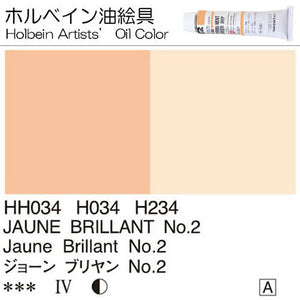 Holbein Artists’ Oil Color – Jaune Brillant No 2 – One 110ml Tube – HH234