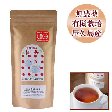 Hachimanju Tea Garden Yakushima Organic JAS-Certified Black Tea 80g – Shipped Directly from Japan