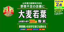 Load image into Gallery viewer, YAMAMOTO 100% Barley Grass Aojiru Powder Sticks – 3g x 44 Sticks